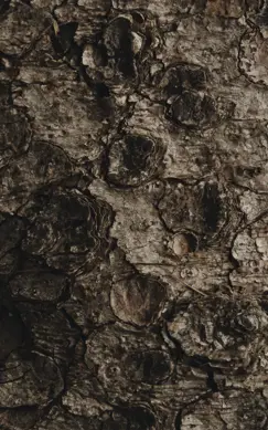 yera-details-17.jpeg