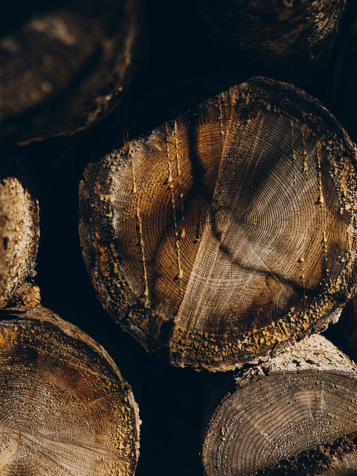 Forestis Dolomites Luxury Hotel 