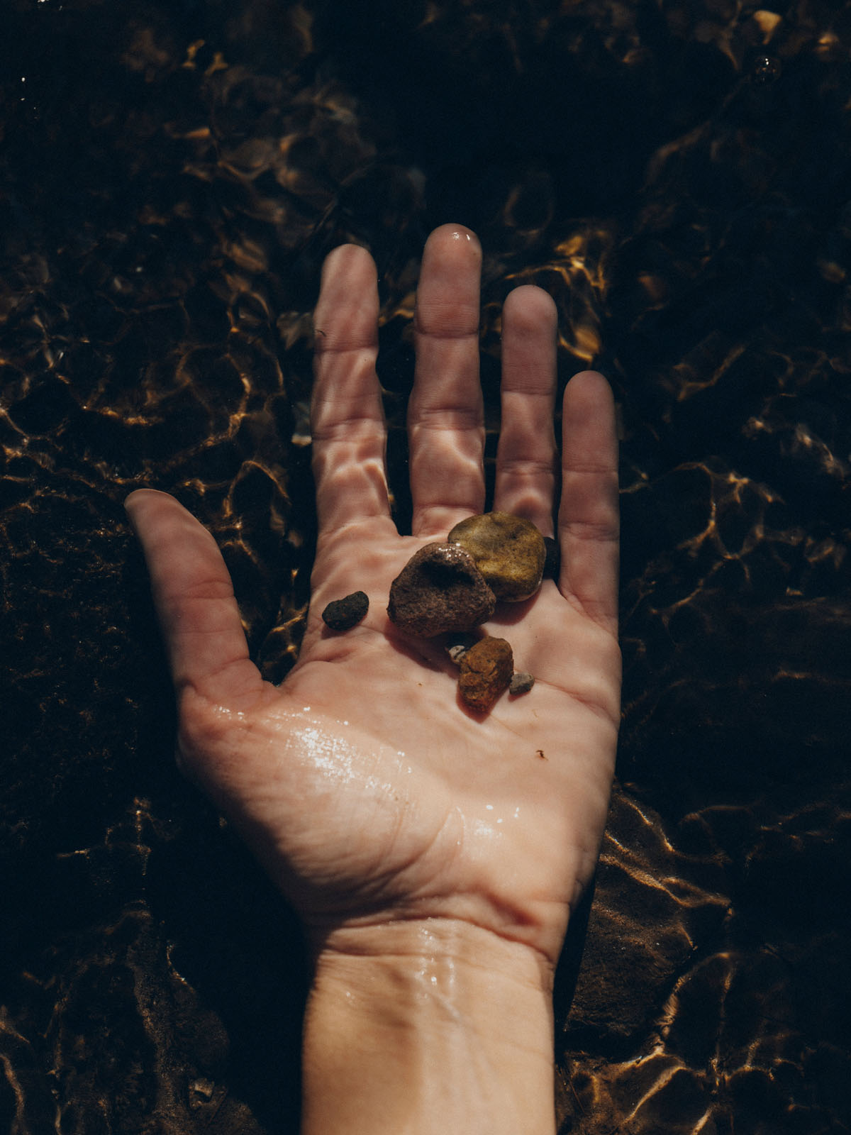 Forestis Dolomites Luxury Hotel 