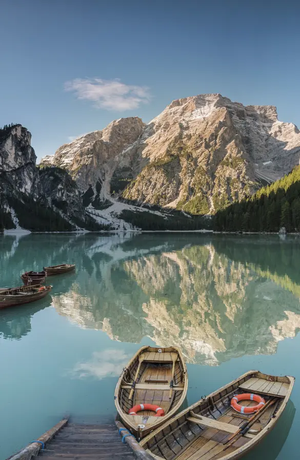 FORESTIS Wildsee