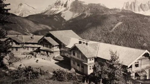 FORESTIS History 7
