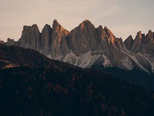 Forestis Dolomites Luxury Hotel8323